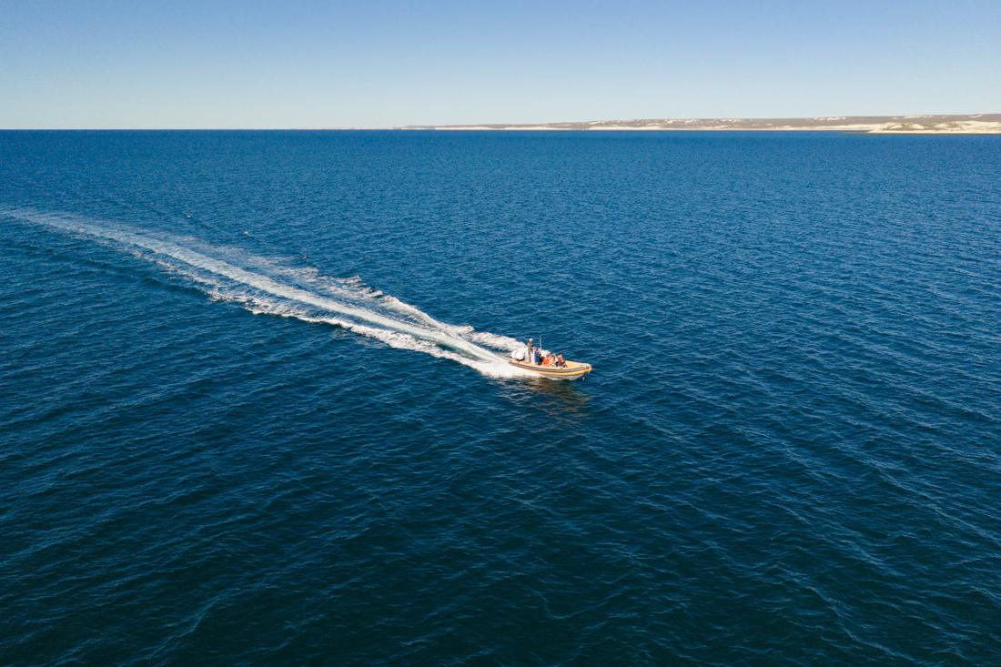 Semirrígido de Alavista navegando mar adentro